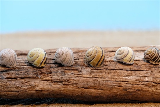 一个人过生日伤感的句子