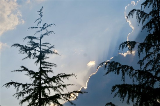 描写早晨太阳初升时优美的句子