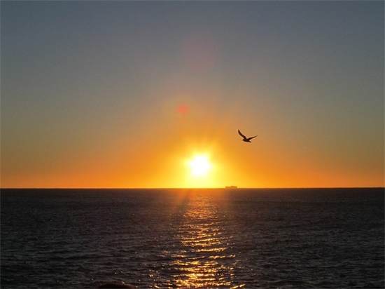 同事退休祝福语 同事退休祝福语简短