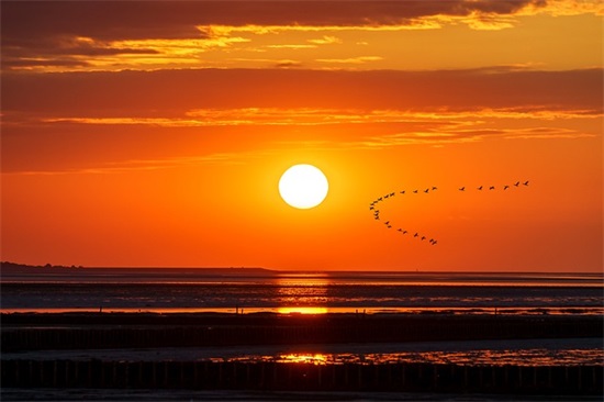 侄女结婚祝福语短信 侄女结婚祝福