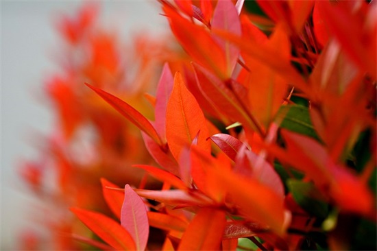 店开业的祝福语