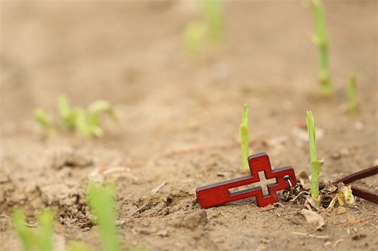 2026年最新秋季运动会口号押韵