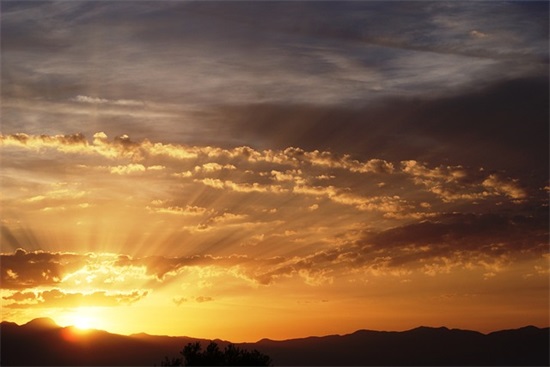 2026精选大队委竞选口号 大队委竞选宣言