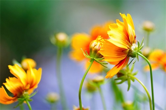 通俗易懂交通安全标语 幼儿园交通安全标语