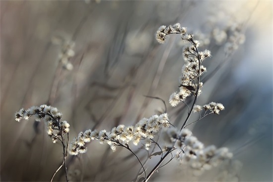 班级口号关于体育 最霸气最潮的班级口号体育