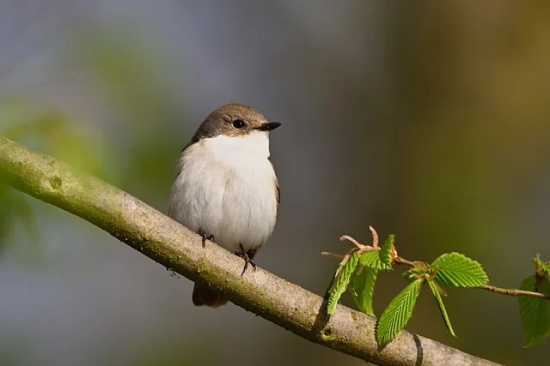 创建省级文明县城宣传标语