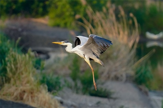 小学春季运动会加油口号搞笑2026