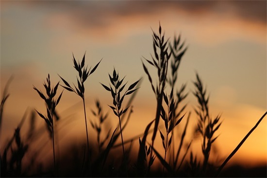 服务一线口号 志愿服务口号 服务一线口号 志愿服务口号