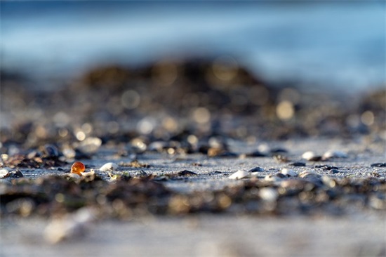 高中班级跑操口号16字45句 高中班级跑操口号16字45句