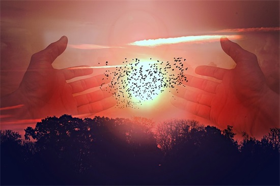 学校植树节活动标语条幅(学校植树节横幅标语2026)