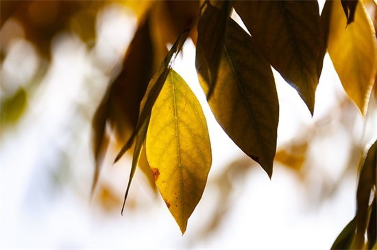 保险销售晨会口号大全 销售晨会口号大全