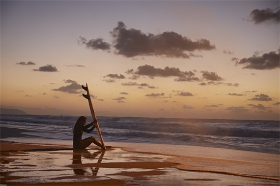 2026秋季运动会活动宣传创意口号