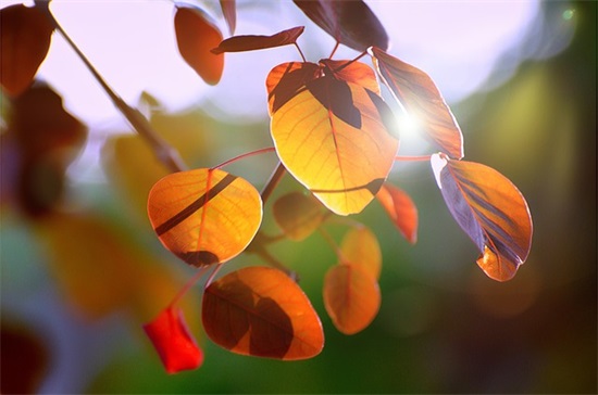 辩论赛团队口号大全60句