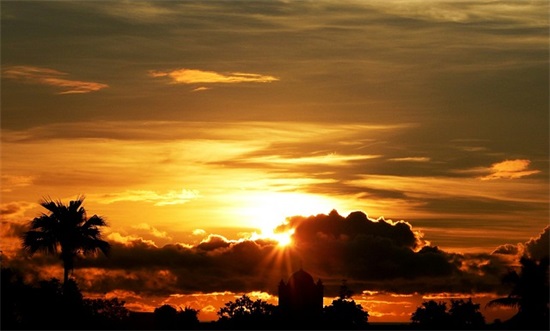 龙虾的口号85句