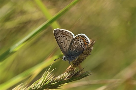 出租屋安全标语64句
