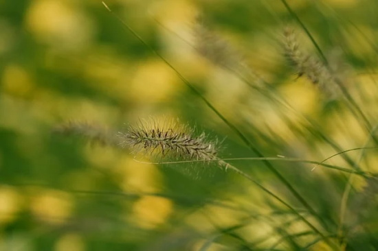 节约粮食拒绝浪费宣传口号(节约粮食拒绝浪费宣传语)