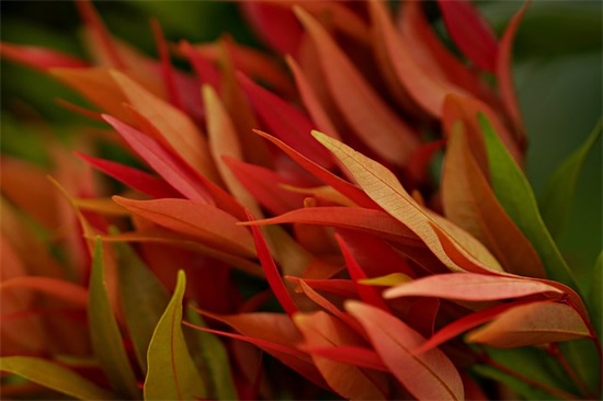 关于预防溺水的安全标语