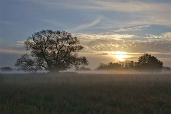 六年级运动会口号82句