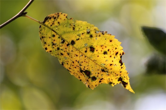 保险口号大全霸气十足的微信群名