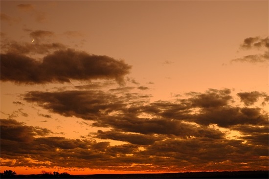 心花怒放的心情句子