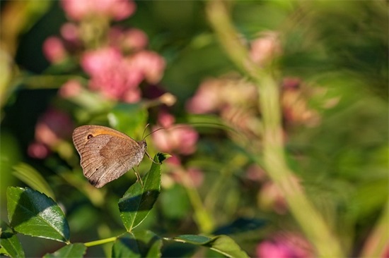 夸奖摄影水平高的句子 形容拍照技术好的句子