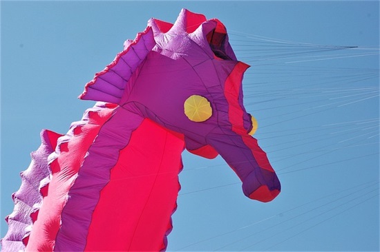 发抖音容易火的句子写自己短句