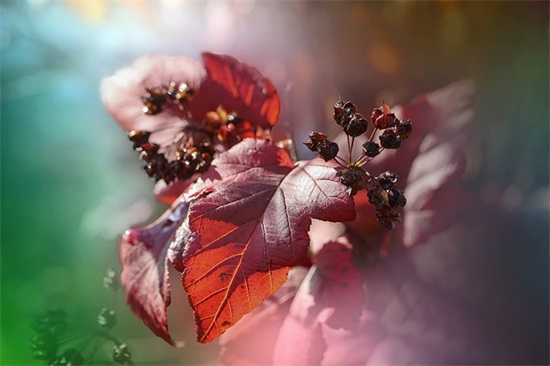 搞笑夸自己句子