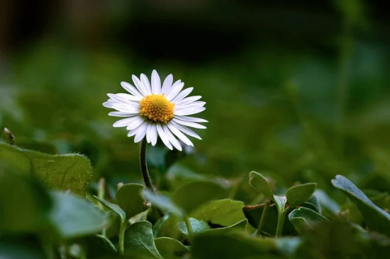 放手失恋的伤感句子