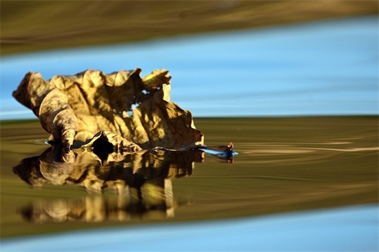 励志人生的优美句子