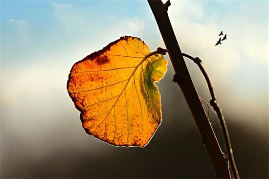 搞笑句子能笑死人的2026 幽默笑死人的短句