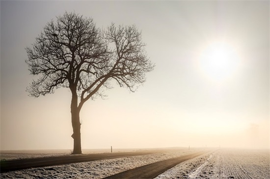 交通安全宣传横幅标语