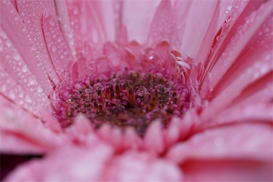 文明城市创建标语口号(建设文明城市标语口号大全)