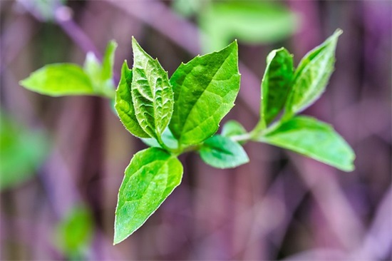 国际志愿者日节日标语30句 国际志愿者日节日标语30句