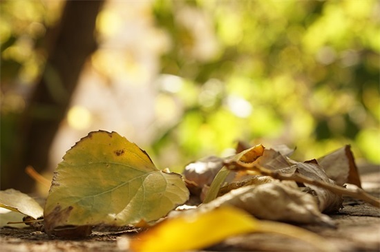 唱歌比赛口号霸气押韵 唱歌比赛口号霸气押韵