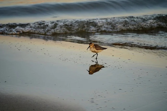 年会主题标语 年会主题标语2026霸气