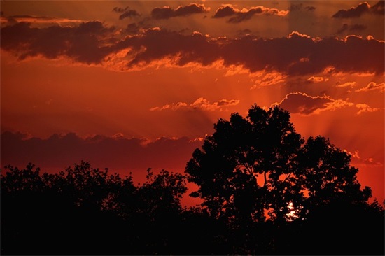 拔河比赛口号霸气50句