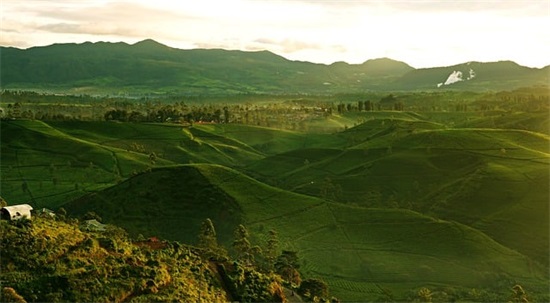 陶瓷广告横幅标语 广告横幅标语