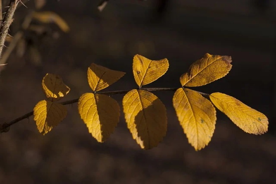 公寓安全宣传口号48句