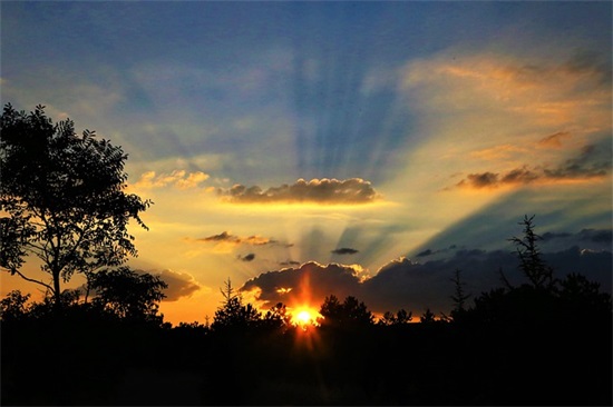 最新的队伍口号大全 团队口号大全