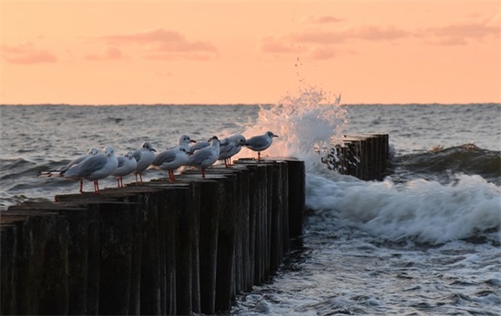 精选温情的情人节祝福语