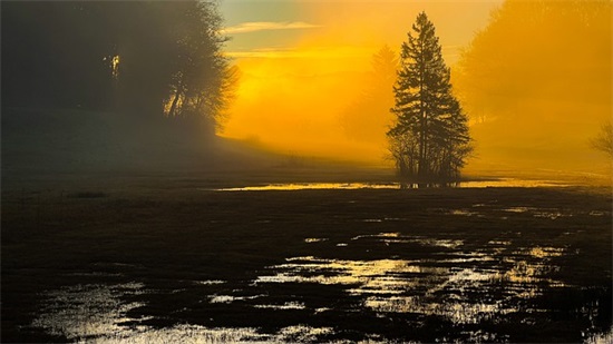 对宝宝的生日祝福语 对孩子的生日祝福