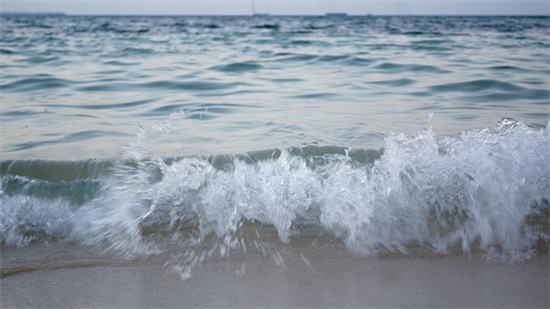 回复祝福语的感谢语