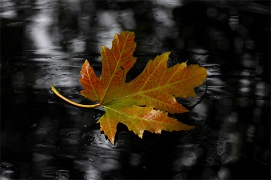 面馆开业祝福语 牛肉面馆开业祝福语