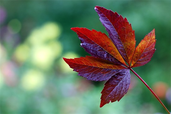 精选元旦微信祝福语