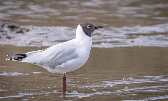 销售团队口号怎么写