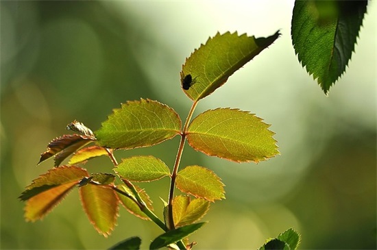 最新的驾校安全宣传标语大全(校园安全宣传标语) 最新的驾校安全宣传标语大全(校园安全宣传标语)