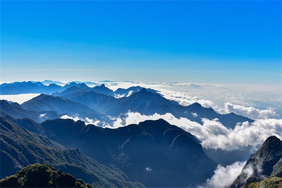 精选的反三违专项活动宣传标语大全