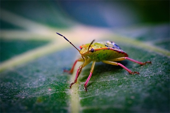 团队风采展示口号介绍 教师团队风采展示口号