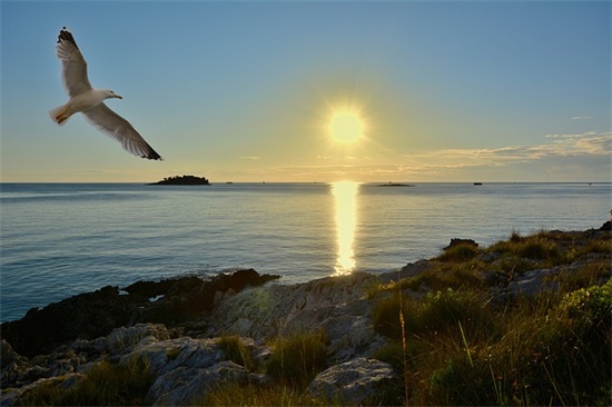 冰雪天安全提示标语24句