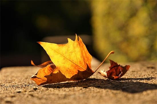 12.4小区法制宣传标语口号 平安法制宣传标语